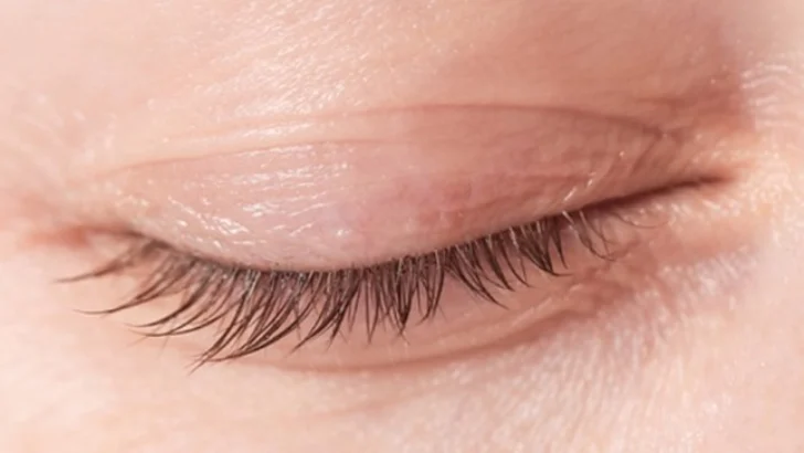 De la metáfora de la pestaña y otros objetos