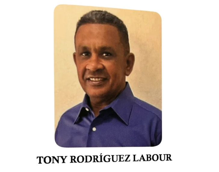 La arquitectura del metarrelato: una lectura de 'Hasta que un día nos damos cuenta', de Tony Rodríguez Labour