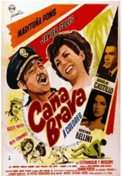 Entre el 70 y 90 % del patrimonio audiovisual mundial permanece en manos privadas