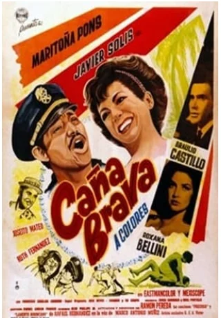 Entre el 70 y 90 % del patrimonio audiovisual mundial permanece en manos privadas Entre el 70 y 90 % del patrimonio audiovisual mundial permanece en manos privadas