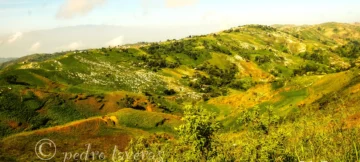  Sabambobé en 2012. Margen derecha al fondo es Palmé. Es digno comparar con el 2025 (Foto PT)