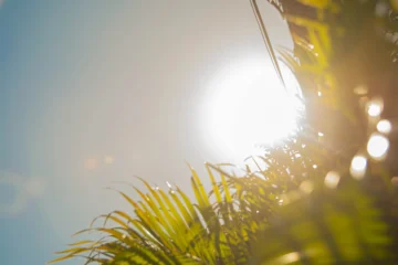 Pronóstico de Meteorología para este sábado 8 de noviembre Pronóstico de Meteorología para este sábado 8 de noviembre