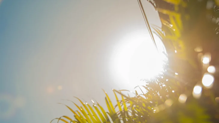 Pronóstico de Meteorología para este sábado 8 de noviembre