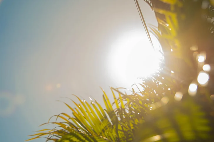 Pronóstico de Meteorología para este sábado 8 de noviembre