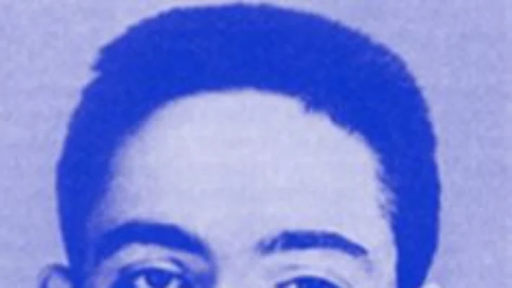 El universo chiflado de Thomas Pynchon