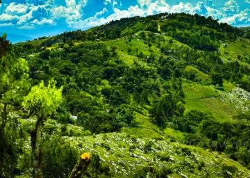  Vista parcial hacia Sabambobé, donde se aprecia la cobertura forestal y no forestal (Agroforestería), asi el lector pueda comparar con imagén 2010. ( Foto septiembre 2025, PT)