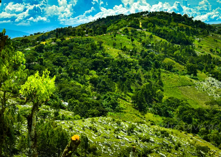  Vista parcial hacia Sabambobé, donde se aprecia la cobertura forestal y no forestal (Agroforestería), asi el lector pueda comparar con imagén 2010. ( Foto septiembre 2025, PT)