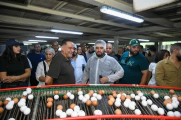 Sanut destaca pilares esenciales para el éxito avícola