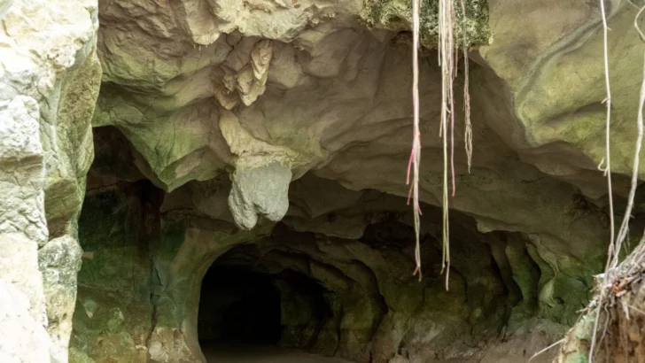 Medio Ambiente anuncia cierre temporal de las cuevas del Pomier
