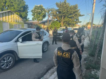 DNCD incauta 550 mil gramos de distintos narcóticos durante noviembre