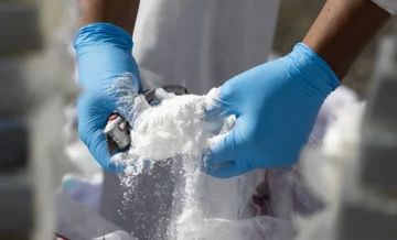 República Dominicana quema 1,450 kilos de cocaína