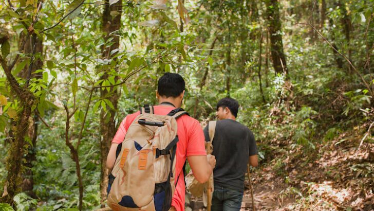 Grupo Piñero refuerza su apuesta por el turismo regenerativo con una inversión de US$ 2.6 millones Grupo Piñero refuerza su apuesta por el turismo regenerativo con una inversión de US$ 2.6 millones