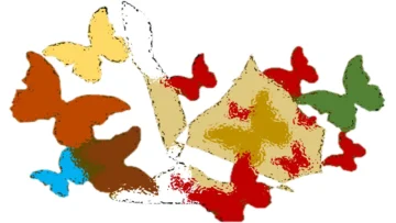 Mariposas alborotadas (Cuento breve)