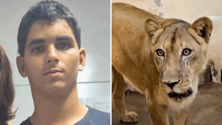 'Fue una tragedia anunciada': el joven brasileño que murió tras meterse en el reciento de los leones en un zoológico de Brasil