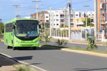 OMSA anuncia horario de sus autobuses para Fin de Año y Año Nuevo