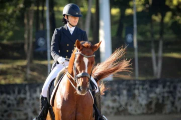 Nikole Forster Chabolla, el futuro del dressage dominicano ya es presente