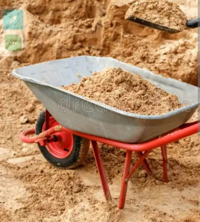 Ricardo, un escritor sin su obra