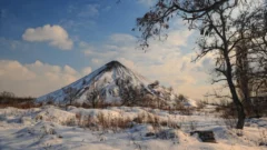 Negociaciones de paz en Ucrania: se perfila la posibilidad de concesiones territoriales en Donbás