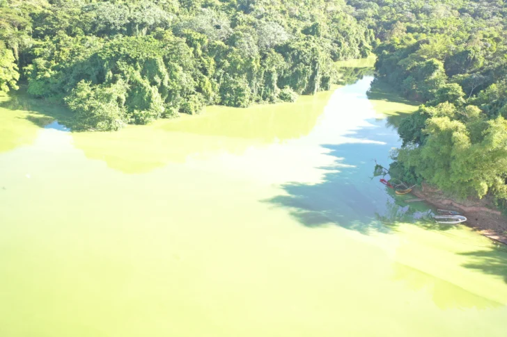 Coloración verde del agua en presa de Hatillo es por floración de algas, afirma Medio Ambiente