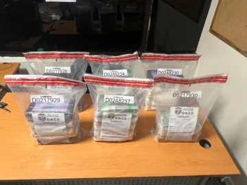 DNCD decomisa 28 paquetes cocaína en el AILA; arrestan dos alemanes