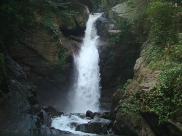 Lanzado Registro de Iniciativas de Producción Más Limpia para la sostenibilidad empresarial Lanzado Registro de Iniciativas de Producción Más Limpia para la sostenibilidad empresarial