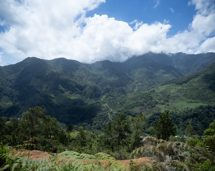 Lanzado Registro de Iniciativas de Producción Más Limpia para la sostenibilidad empresarial