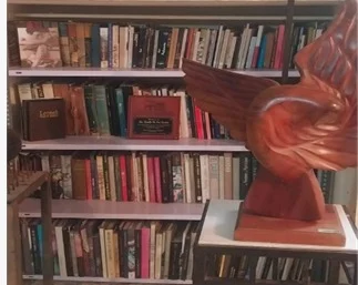 La biblioteca de Danilo de los Santos La biblioteca de Danilo de los Santos