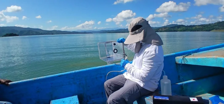 Coloración verde del agua en presa de Hatillo es por floración de algas, afirma Medio Ambiente Coloración verde del agua en presa de Hatillo es por floración de algas, afirma Medio Ambiente
