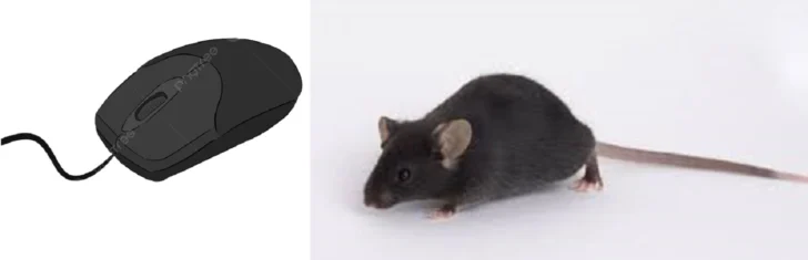 El diseño, de la metáfora del ratón y otros objetos