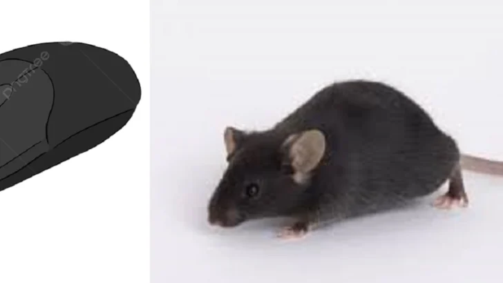 El diseño, de la metáfora del ratón y otros objetos