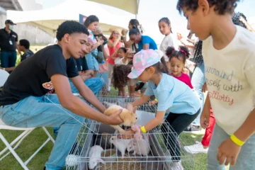 Empresa Sanut anuncia segunda edición navideña de “A la granja, sin salir de la ciudad” Empresa Sanut anuncia segunda edición navideña de “A la granja, sin salir de la ciudad”
