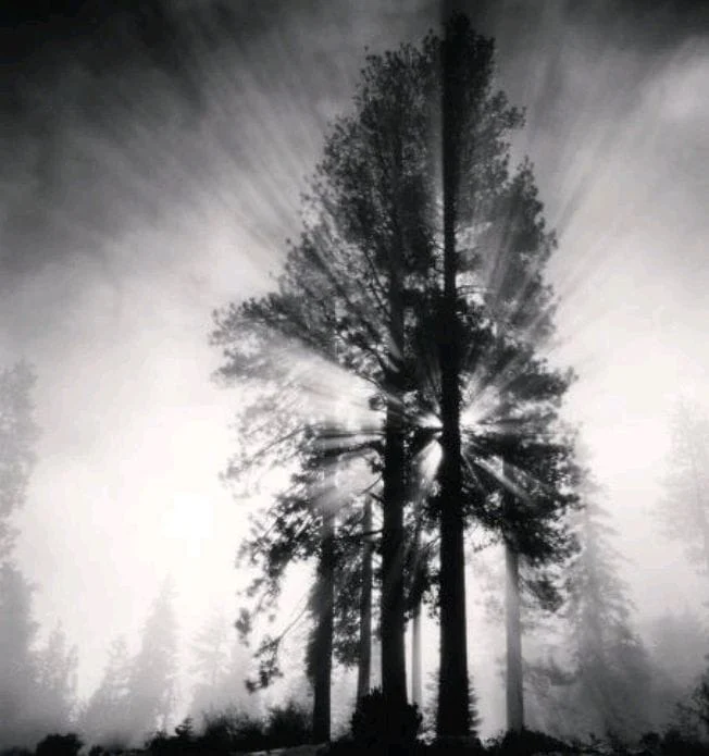 Yky Tejada: un caso Yky Tejada: un caso