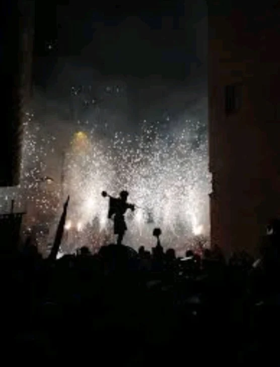 El minotauro y la sombra en Noé Zayas