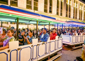 Bosque encantado Encantus de Santiago supera 66 mil visitas en su primera semana