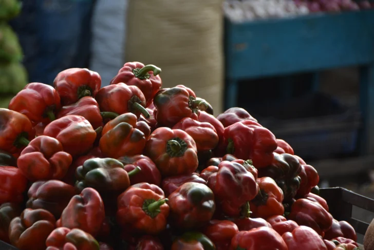 WhatsApp-Image-2025-12-10-at-1.59.14-PM-2-728x487 WhatsApp-Image-2025-12-10-at-1.59.14-PM-2-728x487