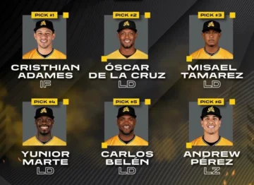 Adames, los Mejía y Weigel encabezan elección en el sorteo de reingreso de la Lidom