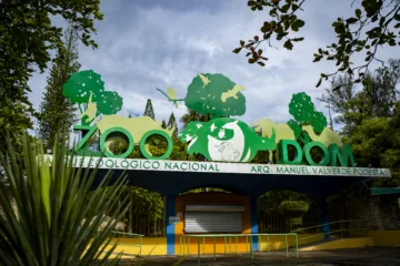 Medio Ambiente autoriza introducción de dos especies exóticas al Zoológico Nacional Medio Ambiente autoriza introducción de dos especies exóticas al Zoológico Nacional