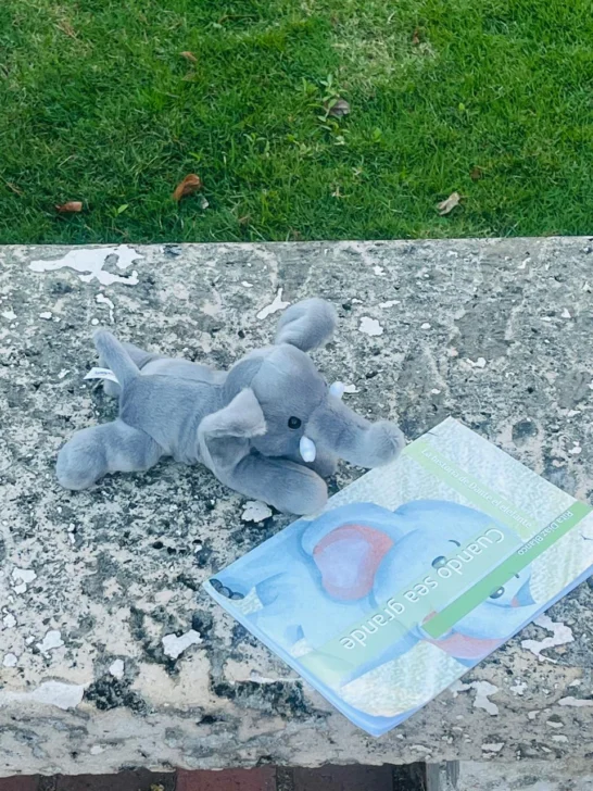 Los deseos de Dante, el elefante Los deseos de Dante, el elefante