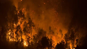 Incendios en Chile: Detienen a un sospechoso mientras aumenta a 21 la cifra de muertos