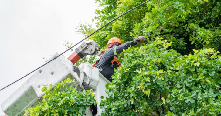 BRIGADISTA-EDESUR-EN-MANTENIMIENTO-DE-PODA-728x382 BRIGADISTA-EDESUR-EN-MANTENIMIENTO-DE-PODA-728x382