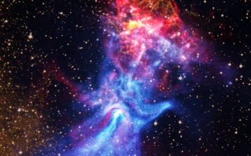 El verbo en el principio: en busca de la primera palabra