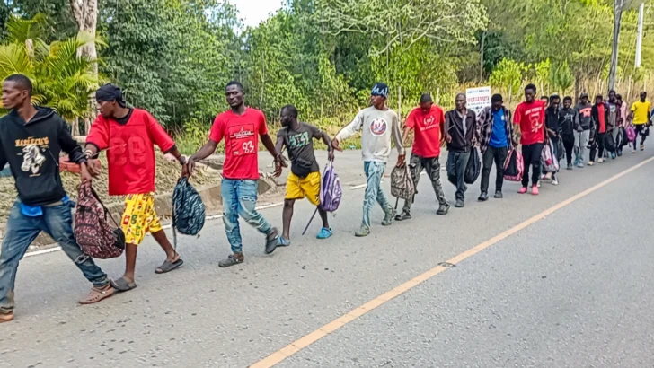 El Ejército detiene a 88 haitianos en situación migratoria irregular en la frontera dominicana El Ejército detiene a 88 haitianos en situación migratoria irregular en la frontera dominicana