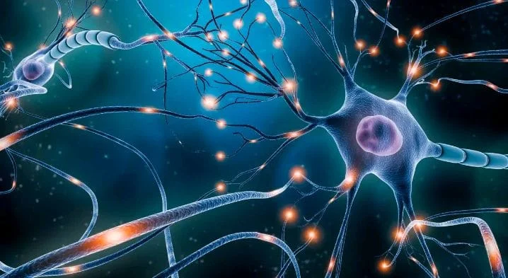 Percepción no local