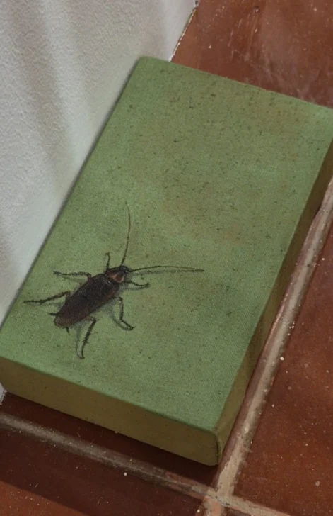 Marilib-la-cucaracha.-Foto-Banreservas-471x728