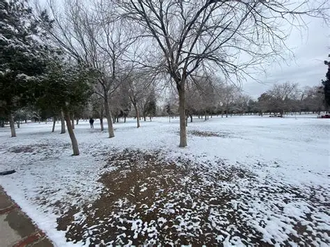 Nieve cubre la fronteriza Ciudad Juárez mexicana, en alerta por temperaturas de hasta -6°C