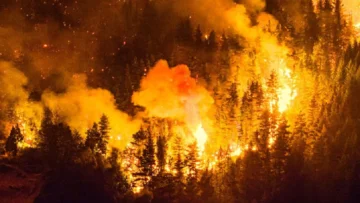 Incendios en la Patagonia argentina arrasan ya miles de hectáreas