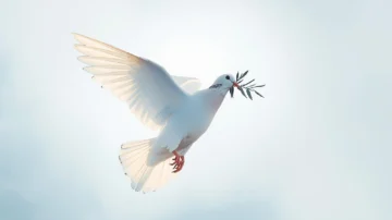 Fallece exdirectora de Conani, Dulce Gómez Achecar; esposa de José Lois Malkun