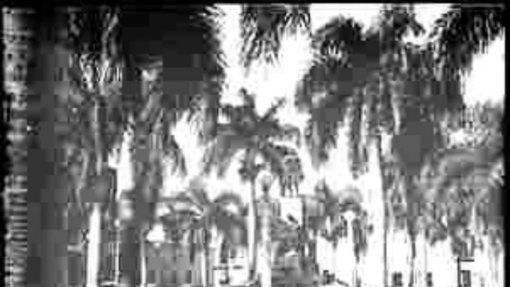 Participación de Juan Pablo Duarte en la Guerra de la Restauración Participación de Juan Pablo Duarte en la Guerra de la Restauración