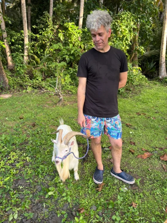 Si-la-fiesta-no-va-al-chivo-el-chivo-va-a-la-fiesta-Karmadavis-Gran-Bienal-Tropical-de-Puerto-Rico.-Fotografia-cortesia-del-artista-2025.-1-546x728