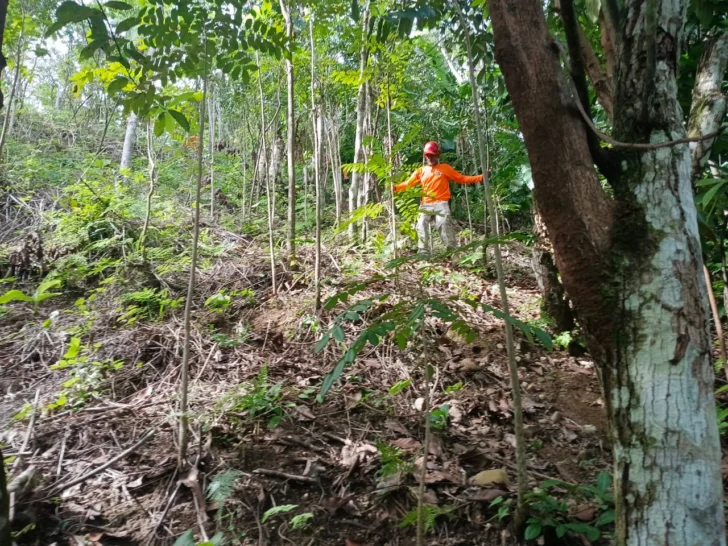 Cinco días de la desaparición de la niña Brianna y autoridades amplian búsqueda Cinco días de la desaparición de la niña Brianna y autoridades amplian búsqueda